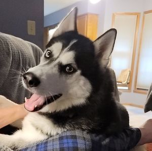 Meet your Posher, Tara